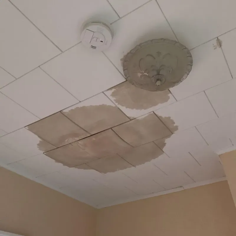 Ceiling Water Damage Repair in Pine County, MN