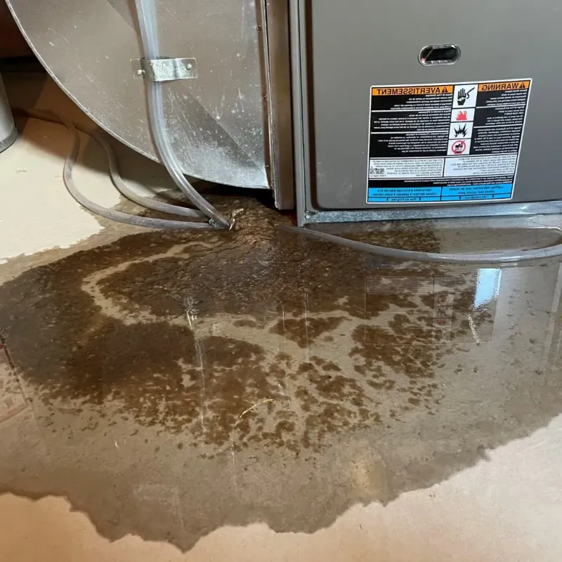 Pipe Burst and Leak Restoration in Pine County, MN