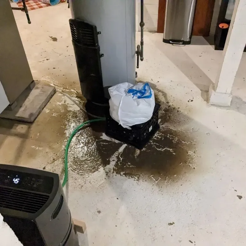 Sewage Backup Cleanup Service in Pine County, MN